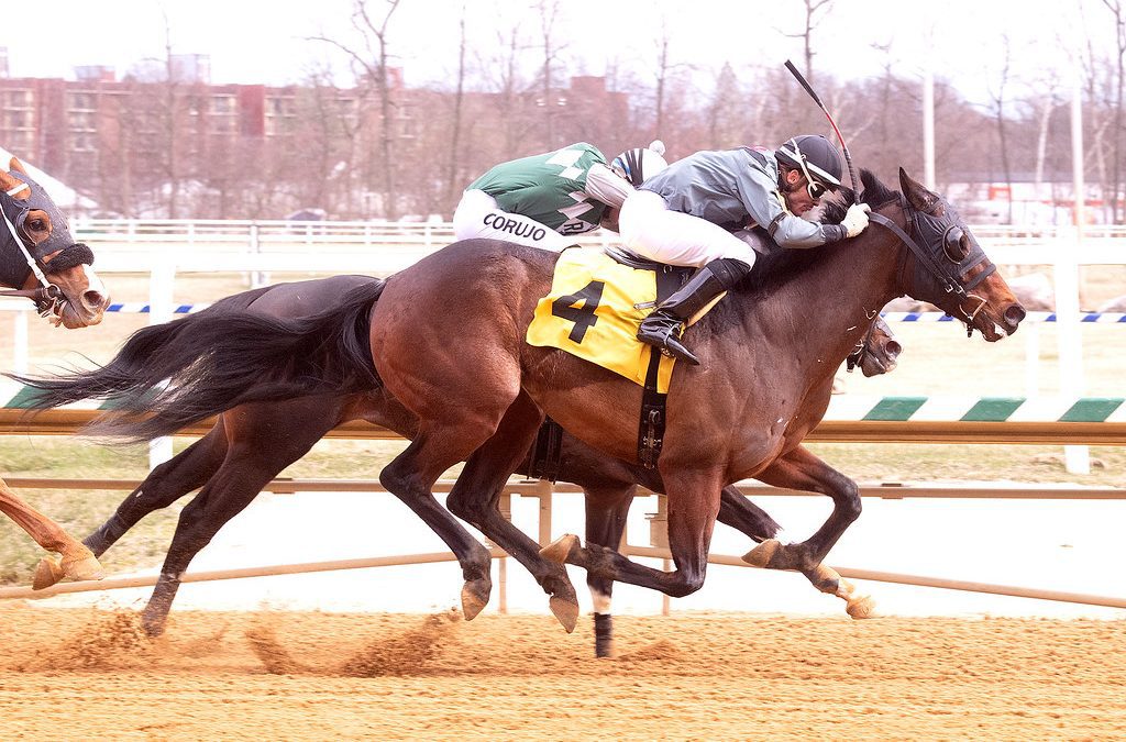 Laurel: Aliferous takes flight at 55-1