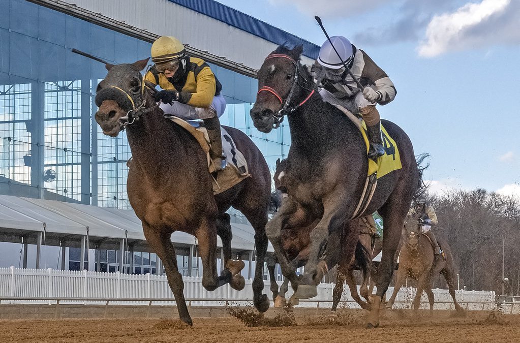 “He made dreams come true”: Galerio gets a soft landing