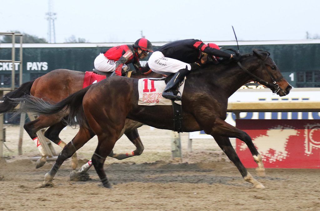 Hollywood Jet aiming for great 8 in Mr. Prospector