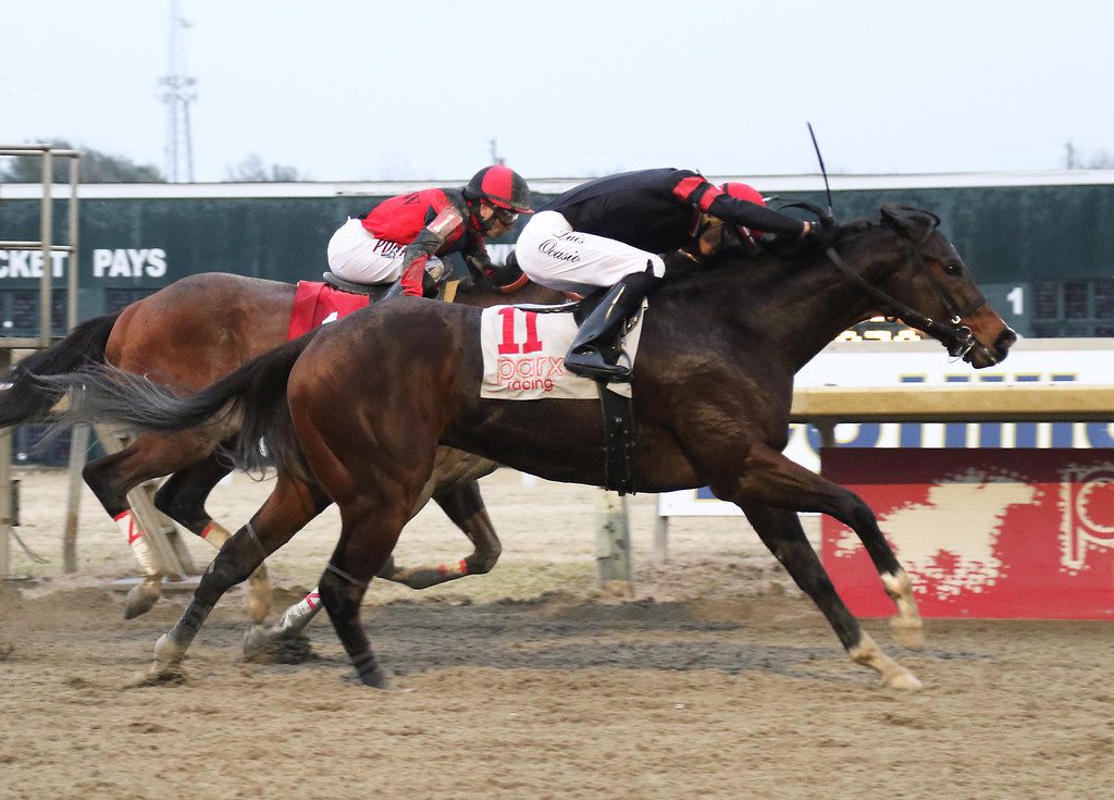 Hollywood Jet (#11) held off Sir Alfred James to win the Fishtown Stakes. Photo by Barbara Weidl/EQUI-PHOTO. Hollywood Jet