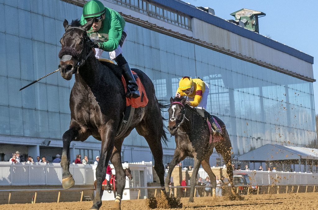 Just One Time strong leader in Top Midlantic-bred Poll