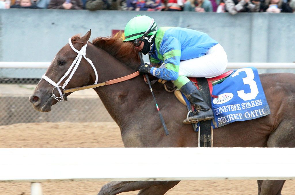 Preakness Profile: Secret Oath