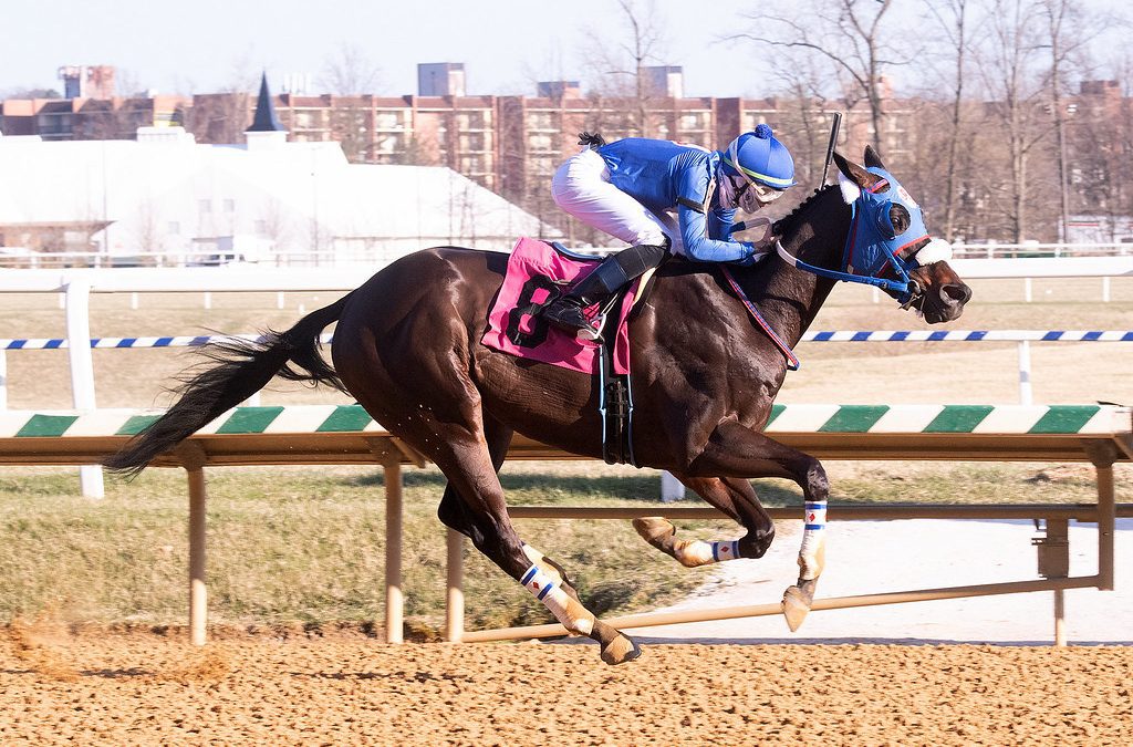 Shake Em Loose working towards return