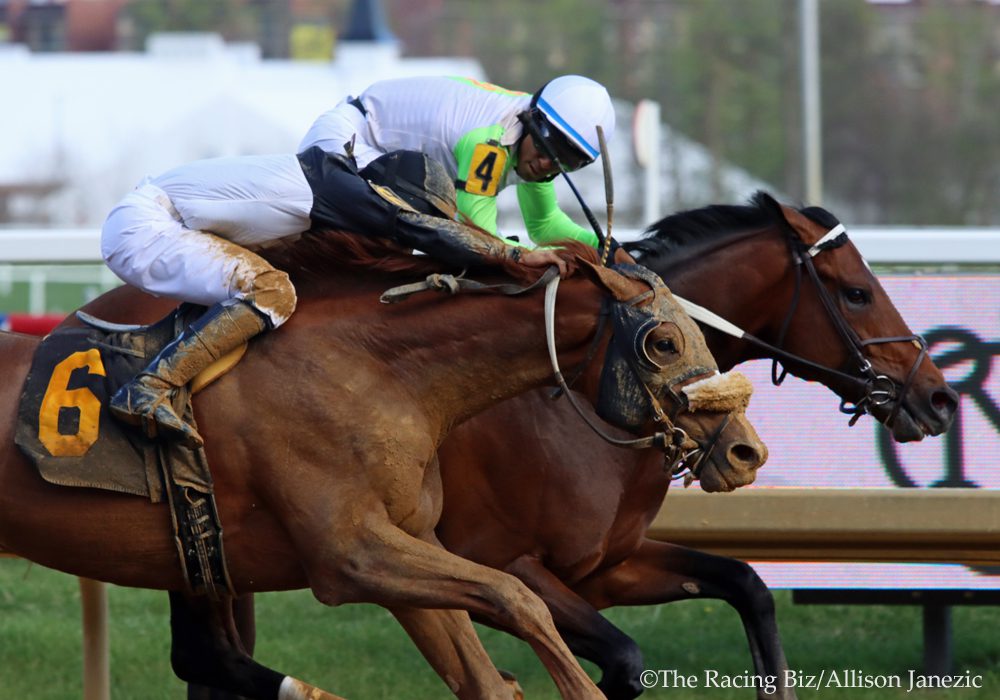 Joe (inside) held off stablemate Mr Jefferson to win the Federico Tesio Stakes at Laurel. Photo Allison Janezic. Joe