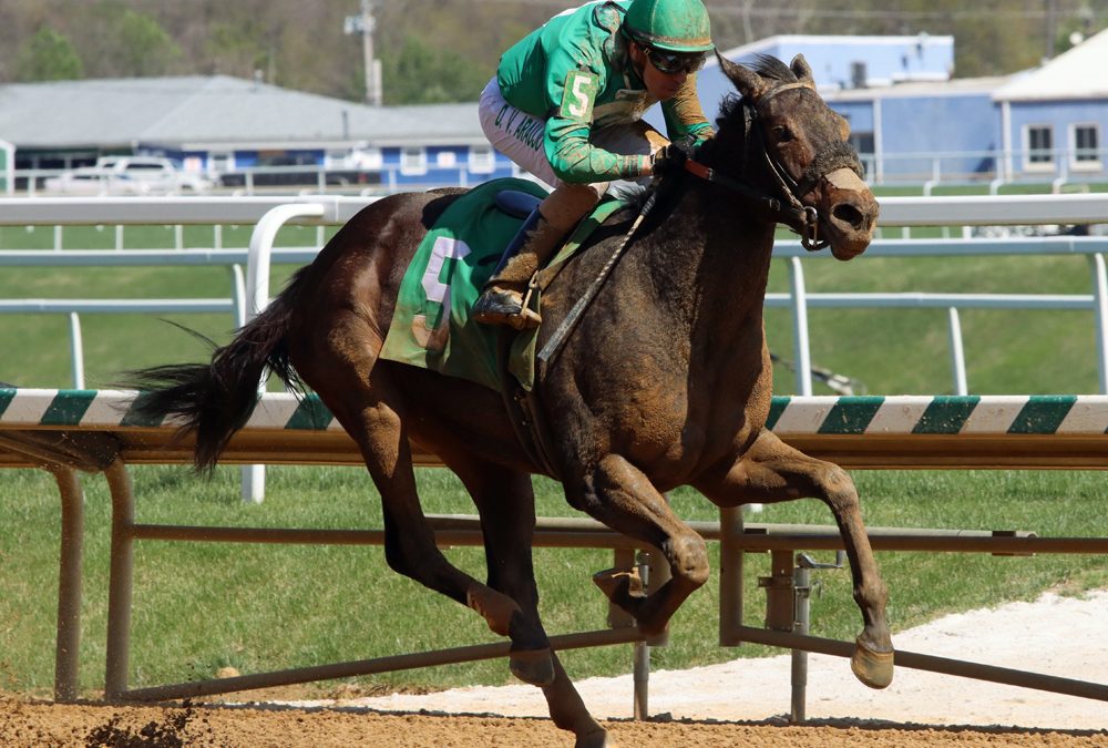 Luna Belle training towards return to action