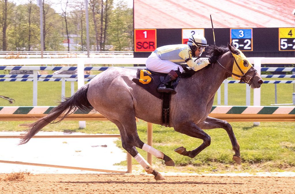 Alexis’s Storm romps in first Maryland 2yo race of ’22