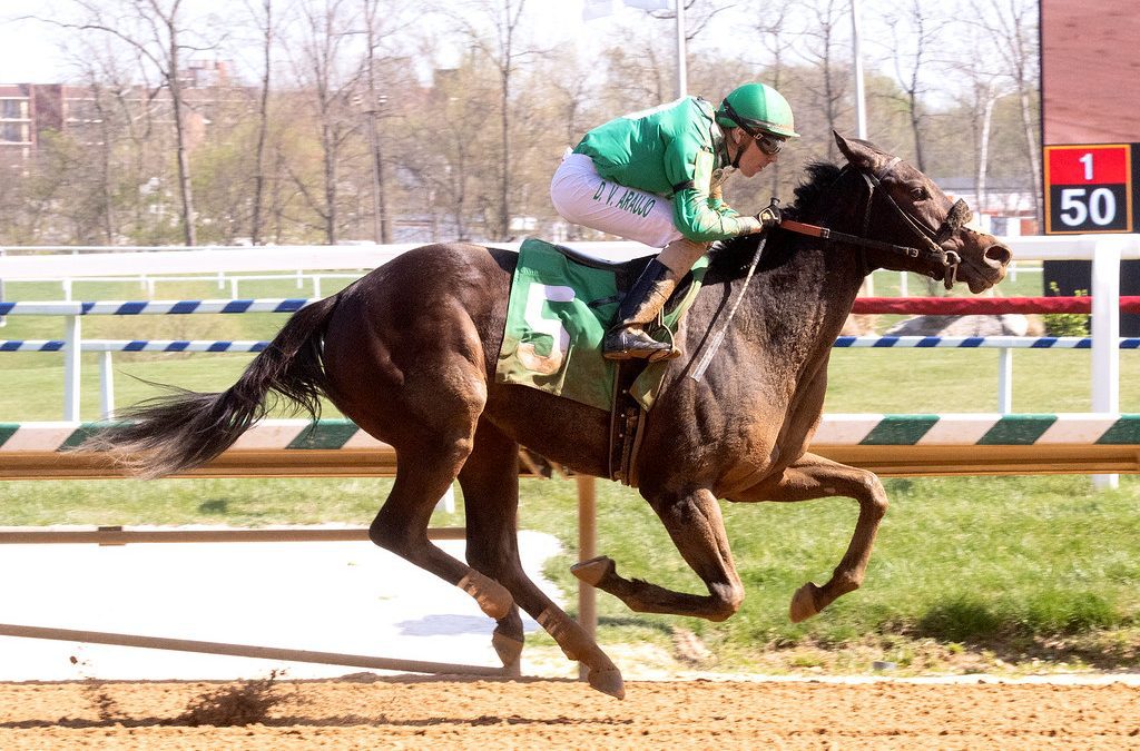 Top Midlantic-bred Poll: Luna Belle, Just One Time still tops