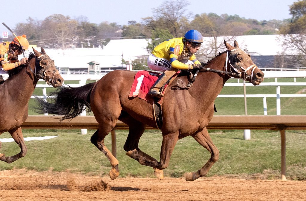 Former claimer Rough Sea sails to Native Dancer upset