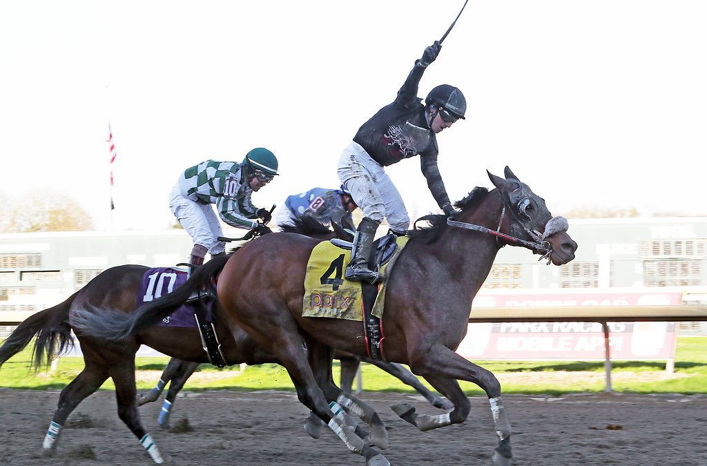 Jock Andrew Wolfsont nets 1,000th win