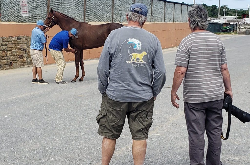 Fasig-Tipton fall yearling sale: By the numbers