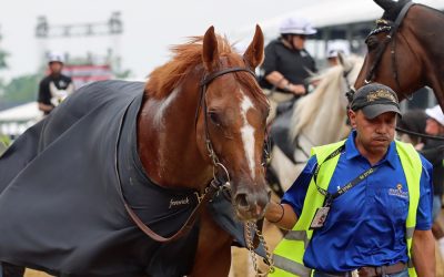 Preakness attendance half of pre-pandemic levels. Why?