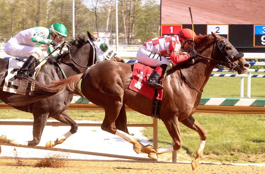 Going to the Lead favored in tough Pimlico allowance