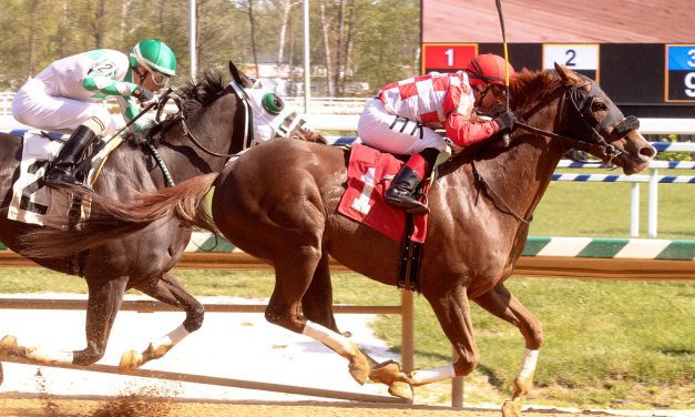 Going to the Lead favored in tough Pimlico allowance