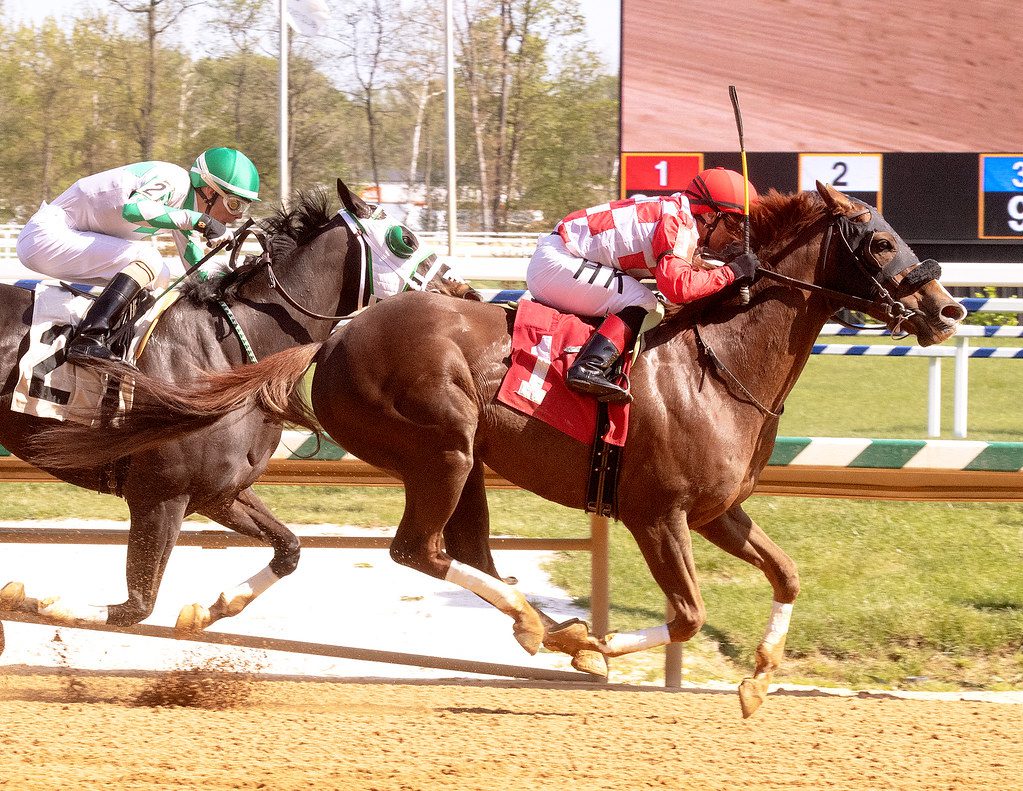 Going to the Lead won a Laurel Park allowance in April. Photo Jim McCue. Going to the Lead