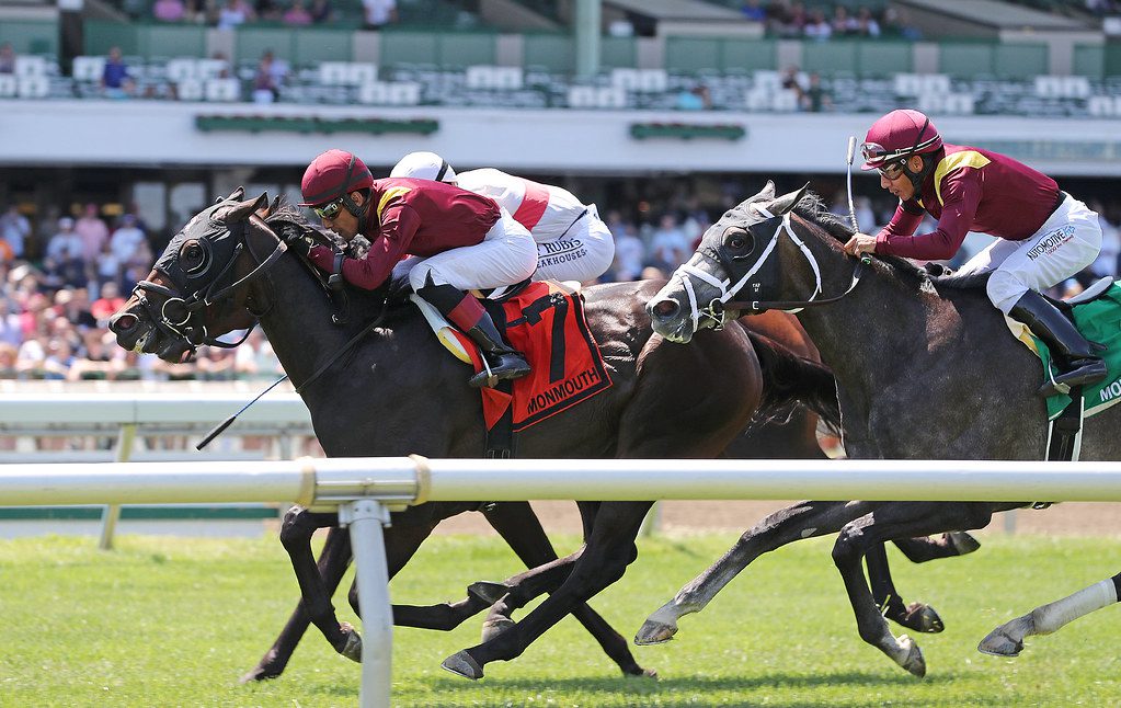 Fuerteventura scored in the Jersey Derby. Photo By Bill Denver/EQUI-PHOTO. Fuerteventura