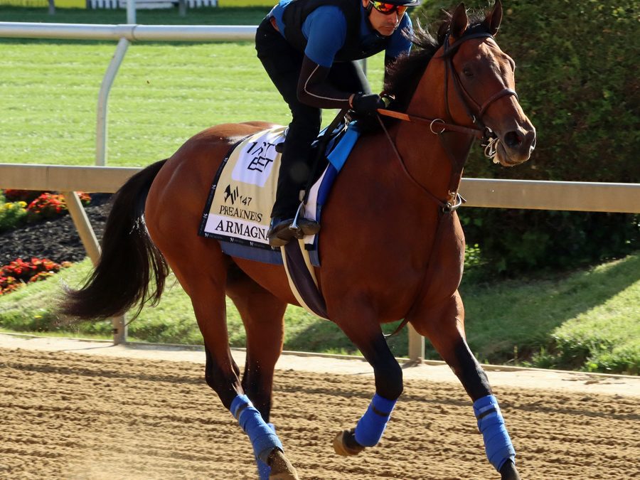 Preakness Profile: Armagnac
