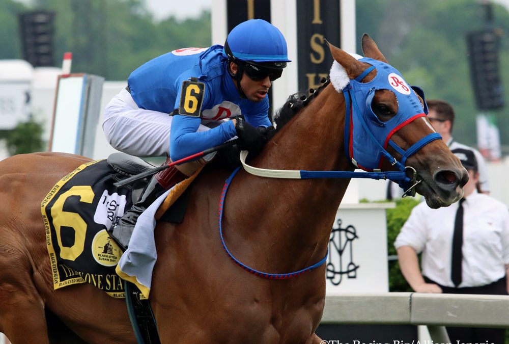 Can the Queen shortens up in Jameela