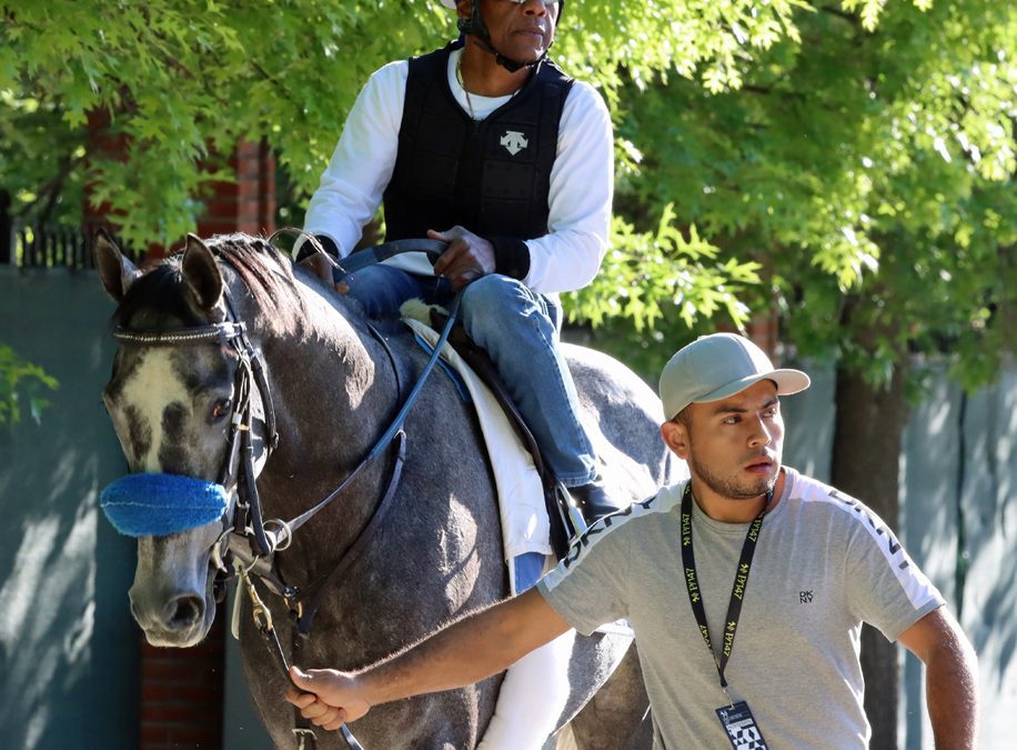 We the People installed as Belmont favorite