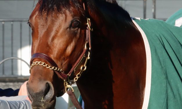 Ethereal Road among key Sir Barton contenders