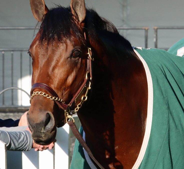 Ethereal Road among key Sir Barton contenders