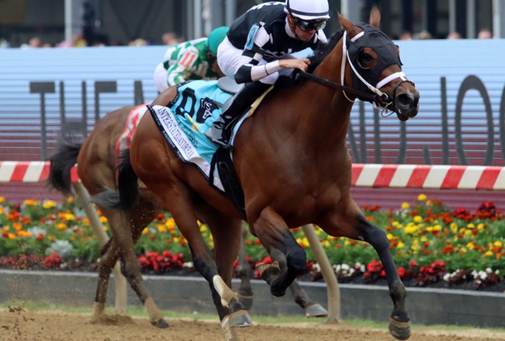 VIDEO: Handicapping the Black-Eyed Susan Stakes