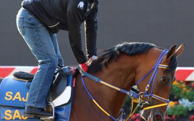 Full field to tackle wide-open Charles Town Classic