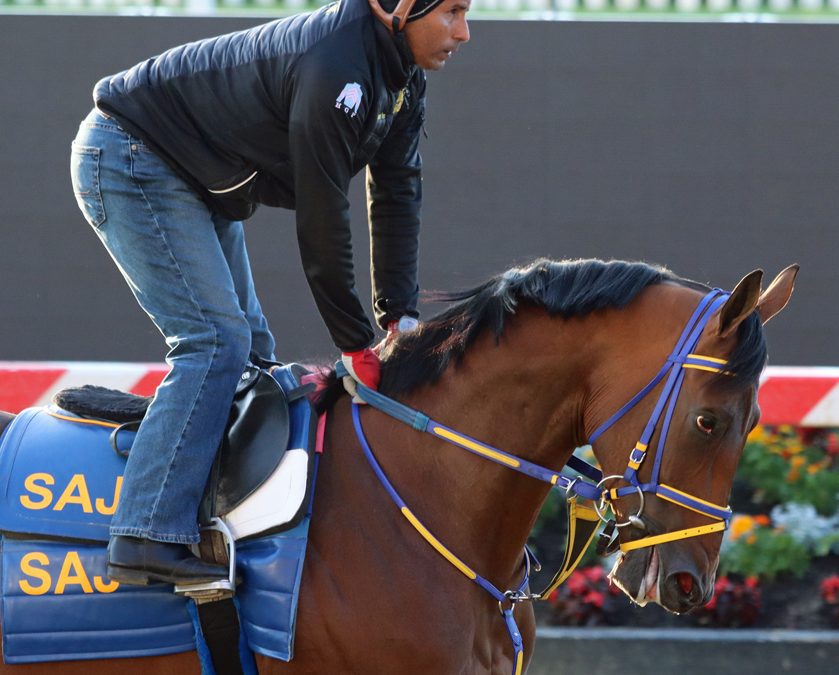 Full field to tackle wide-open Charles Town Classic