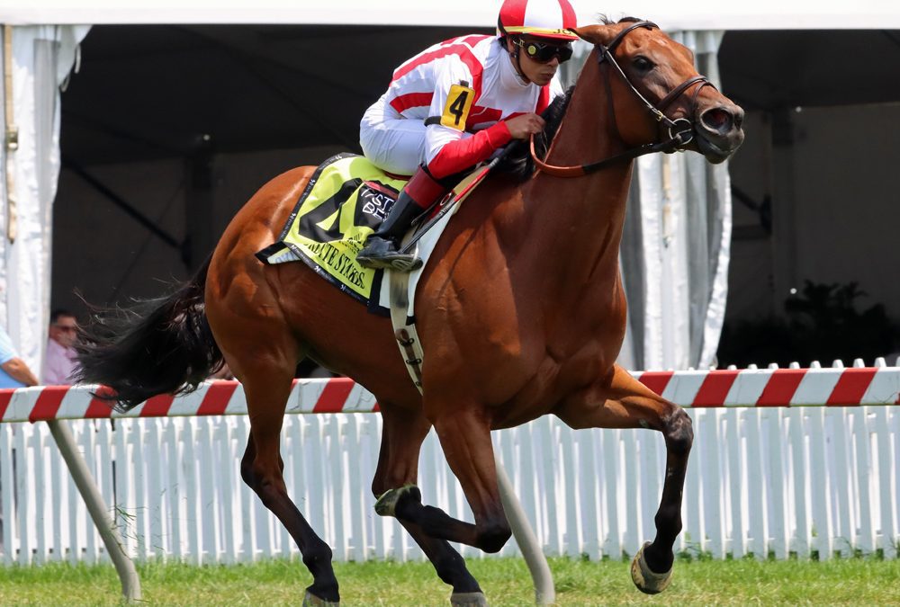 Technical Analysis gallops in Gallorette