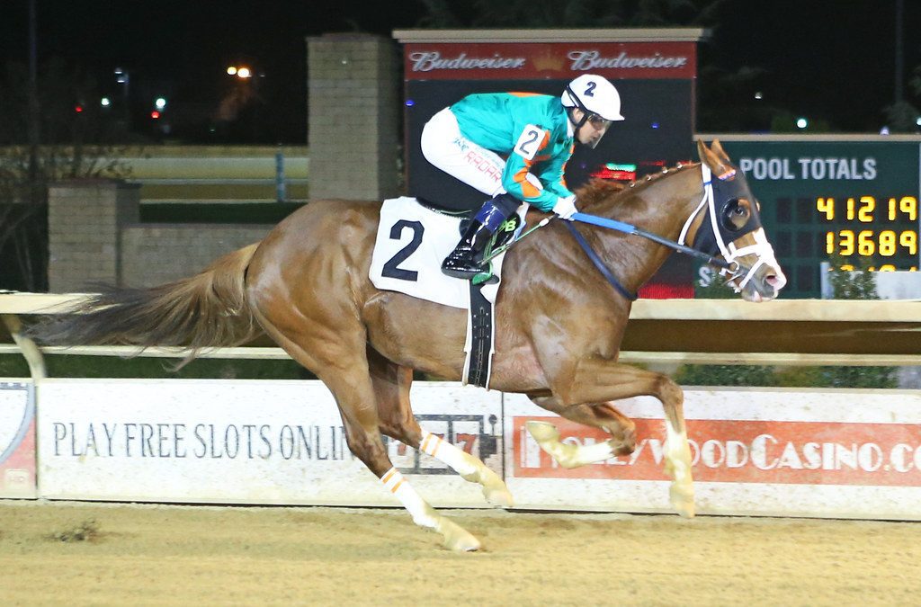 “Puppy dog” Bull Meechum riding 3-race win streak