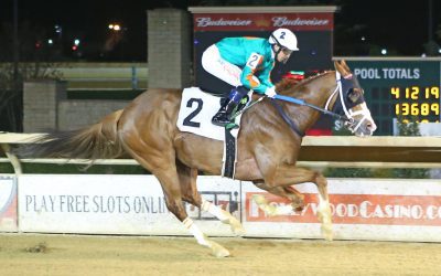 “Puppy dog” Bull Meechum riding 3-race win streak