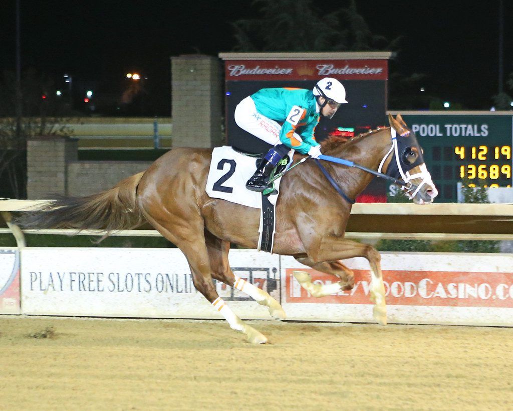Bull Meechum won an allowance at Charles Town May 25. Photo Coady Photography. Bull Meechum