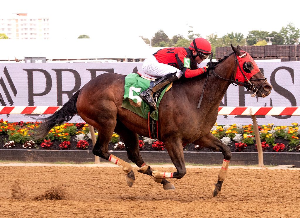 Eastern Bay won the featured allowance at Pimlico. Photo Jim McCue. Eastern Bay