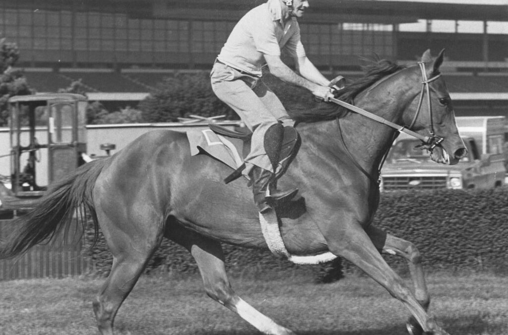 The (almost) fabulous fillies of the Preakness