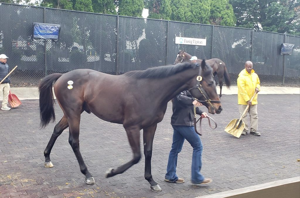Fasig-Tipton: How the Midlantic-breds did