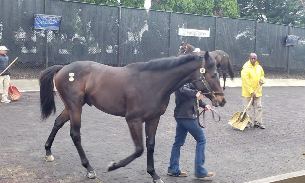 Fasig-Tipton: How the Midlantic-breds did