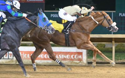 Math Man Marco adds up in Coin Collector