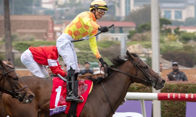 Pizza Bianca headlines Hilltop Stakes