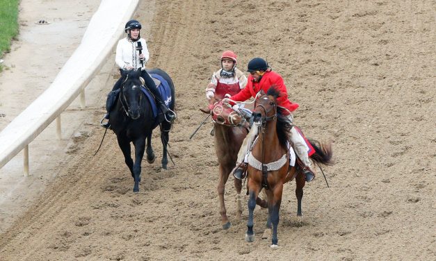 Rich Strike, the pony, the bite, and the controversy