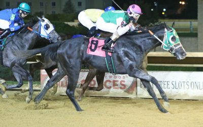 McKees hesitantly make right call with Silky Serena