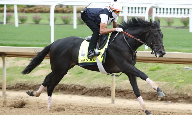 Kentucky Derby horse-by-horse analysis