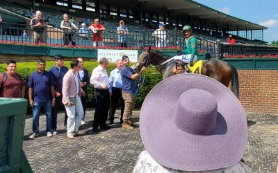 Mary Lyons and the view from the other side of the camera