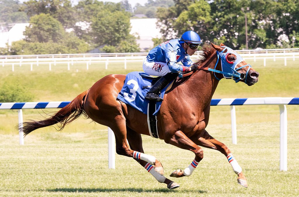 VIDEO: Two to watch at a price in Laurel Park stakes