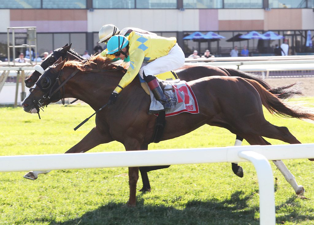 Eons (#11) just held off Beacon Hill to win the Bensalem Stakes. Photo by Nikki Sherman/ EQUI-PHOTO. Eons