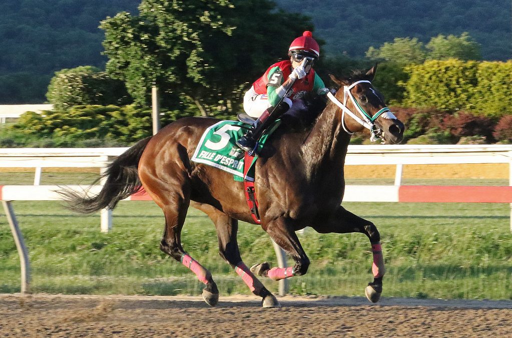 MD Million: Fille d’Esprit looking for more in Distaff