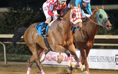 Hypothesis guts out It’s Only Money win