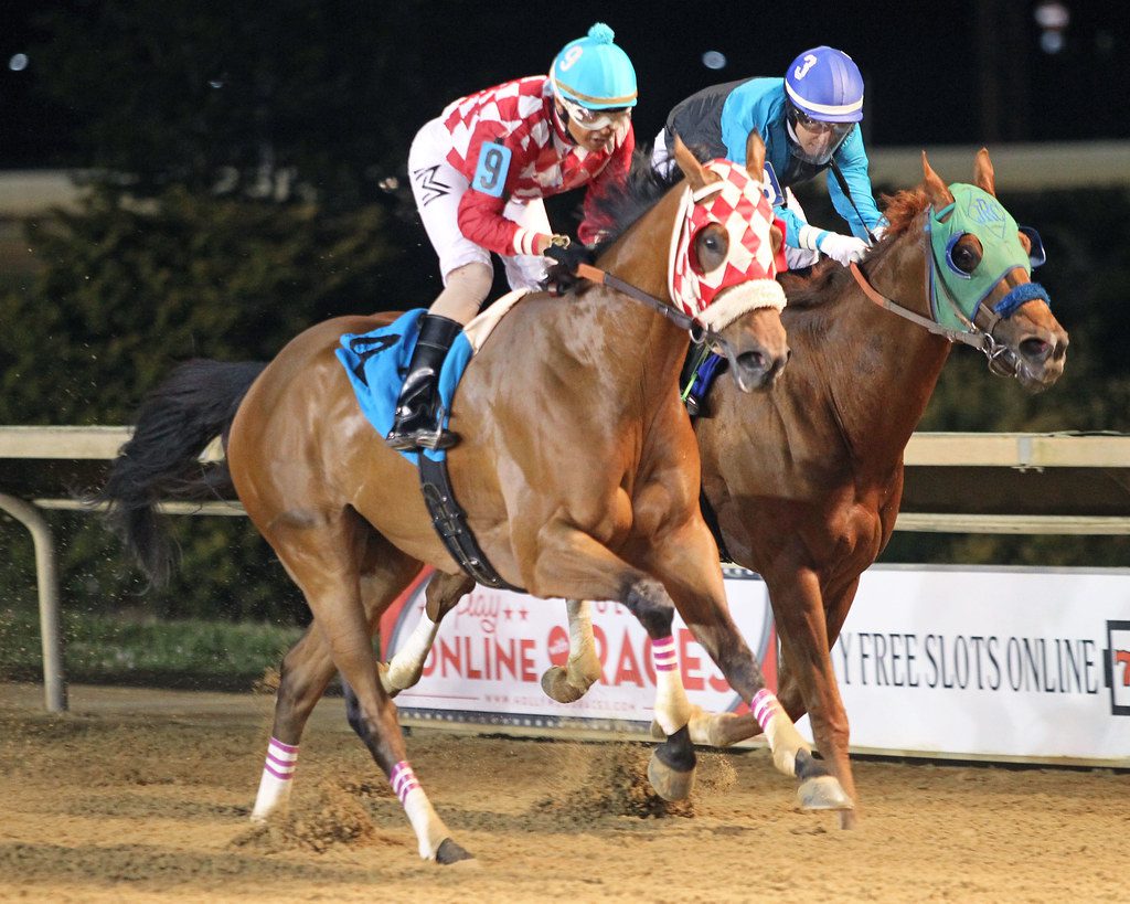 Hypothesis won his fourth straight in the It's Only Money Stakes. Photo by Coady Photography. Hypothesis