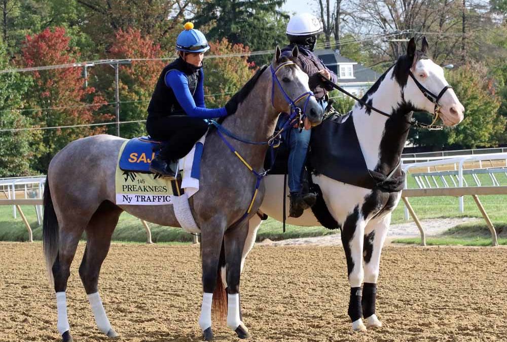 Ny Traffic headlines Penn National MATCH stakes