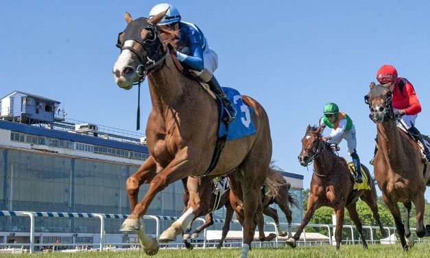 Laurel Park picks and analysis: June 9, 2024