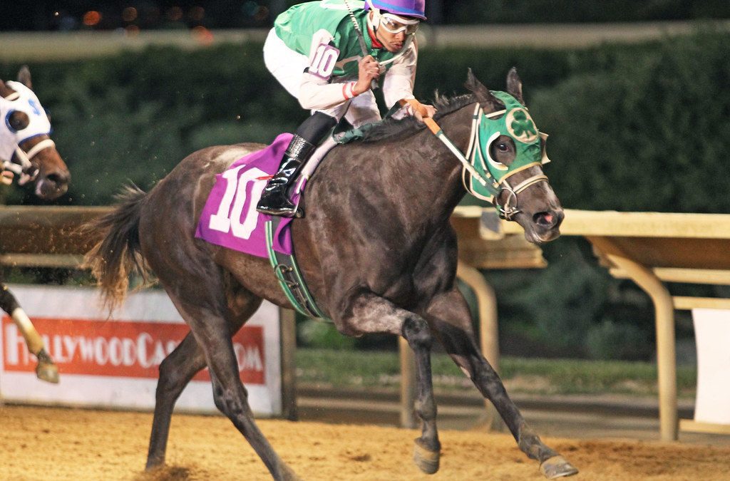 Silky Serena seeks stamina in Sylvia Bishop Stakes