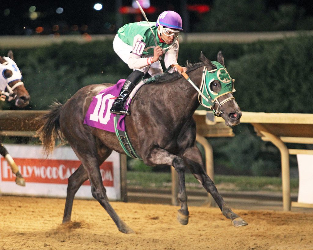 Silky Serena and Reshawn Latchman won the Fancy Buckles Stakes. Photo by Coady Photography. Silky Serena